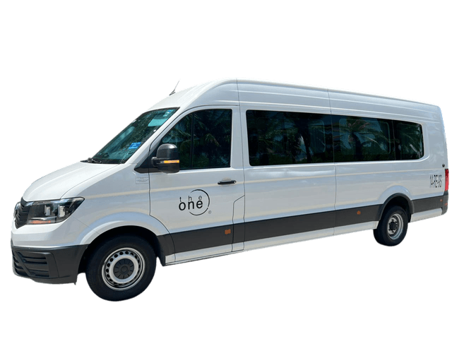 Van Sprinter / Crafter de The One